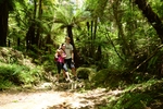 Whakarewarewa Rob & Pratiwi (250K)